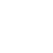vision-icon